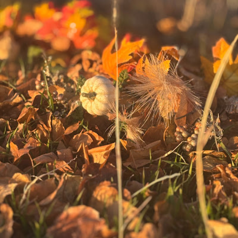 Meet your Posher, Aaron